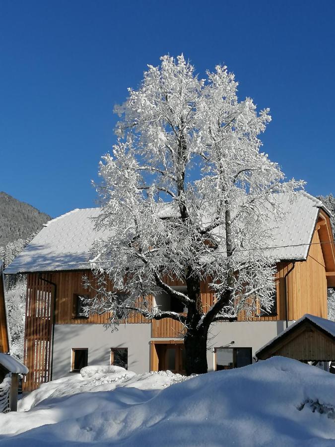 Apartments Gorski Raj Kranjska Gora Exterior foto